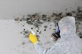 Biohazard Mold Removal in Premont, TX